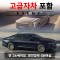 신형 그랜저GN7 / 신형 K8 (랜덤) + 고급자차